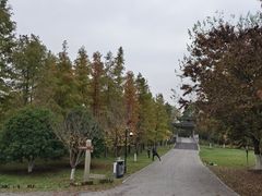 -梁鸿国家湿地公园