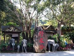 -野象谷景区