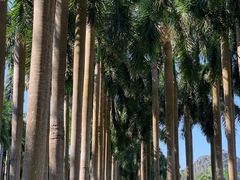 -南宁花花大世界景区