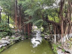 -珠海圆明新园