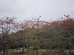 -广州莲花山旅游区