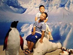 -多彩贵州城极地海洋世界