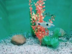 -常州海昌海洋探索馆