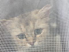 -心仪动物医院·牙专科·肿瘤·心脏科(西客站院)