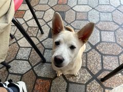 -好成财牛排馆(涂门街总店)