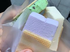 -詹爷爷乌节路街头冰淇淋