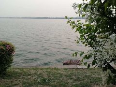 -丁香湖公园