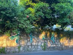 -青青世界