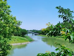 -上海海湾国家森林公园