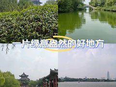 -济南大明湖景区
