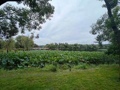 -承德避暑山庄景区