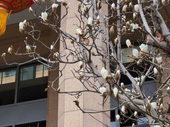 -北京饭店
