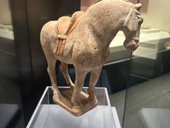 -隋唐大运河文化博物馆