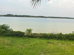 -露天矿生态公园