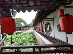 -上海醉白池公园