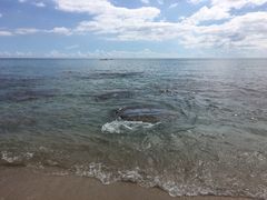 -白沙湾海滩