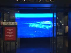 -Hollister(天环广场店)