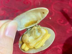 -胜海大排档·海鲜·黄鳝饭(十年老店)