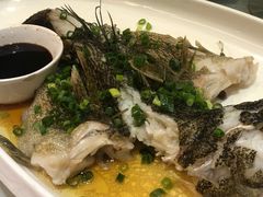 -金满楼(天河中路店)
