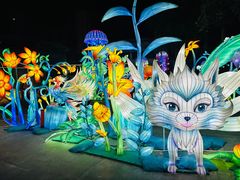 -海合安武汉极地海洋公园