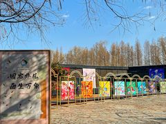 -同里国家湿地公园