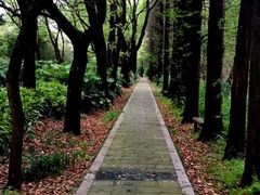 -同里国家湿地公园
