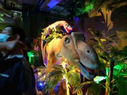 点击看大图 -恐龙探索乐园(磁器口店)