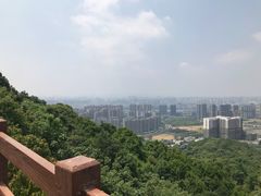 -杭州半山国家森林公园