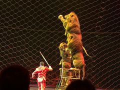 -珠海横琴长隆《卡卡虎奇遇记》