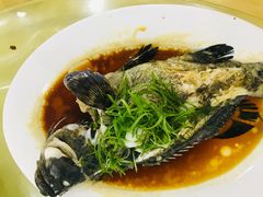 清蒸石斑鱼-双月饭店·20年老字号(新村店)