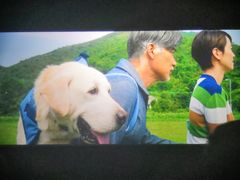 -搜秀影城