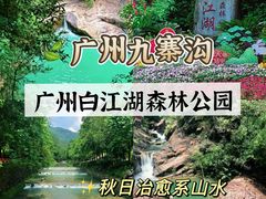 -广州白江湖森林公园