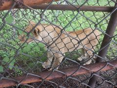 -哈尔滨北方森林动物园