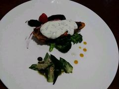 -百好乐宠物友好餐厅(朝外大街店)