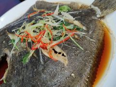 清蒸多宝鱼-张会海鲜饭店(东戴河店)