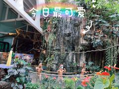 -正佳雨林生态植物园