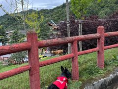 -硗碛藏寨·神木垒景区