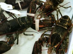 -南沙十九涌渔人码头-南门