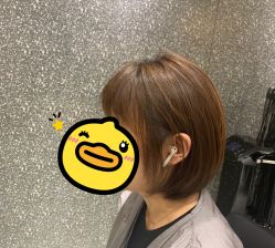 点击看大图 -付军剪艺