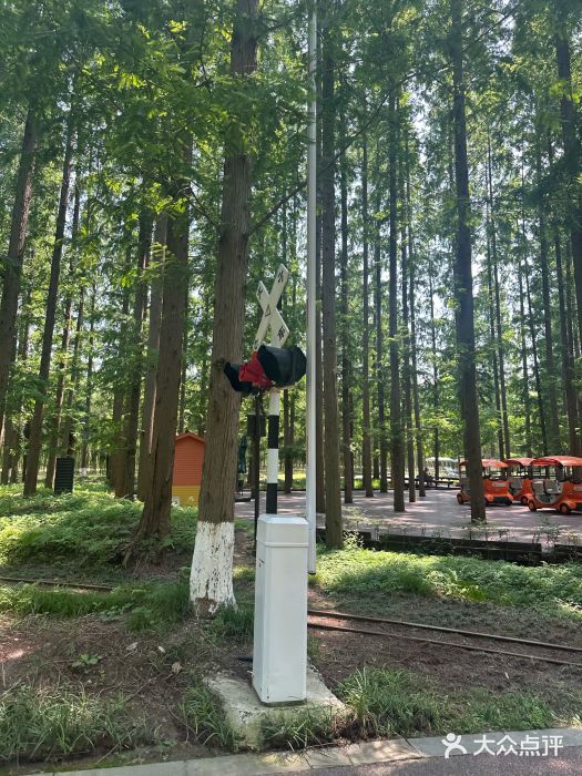 黄海国家森林公园图片