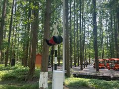 -黄海国家森林公园