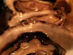 -斯普汇生蚝牛排馆(中骏世界城店)