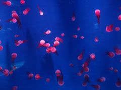 -石林冰雪海洋世界