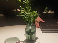 -许家菜(DT51店)