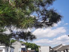 -前童古镇