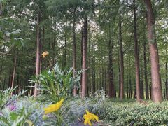 -上海山野camping·户外天幕烧烤·团建拓展营地