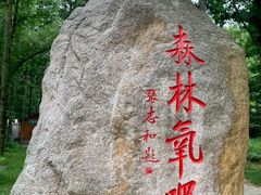 -洛阳白云山景区