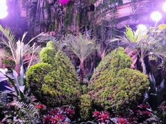 -正佳雨林生态植物园