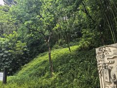 -深圳龙潭公园