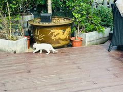 -无名小酒馆·湖北私房菜(昙华林店)